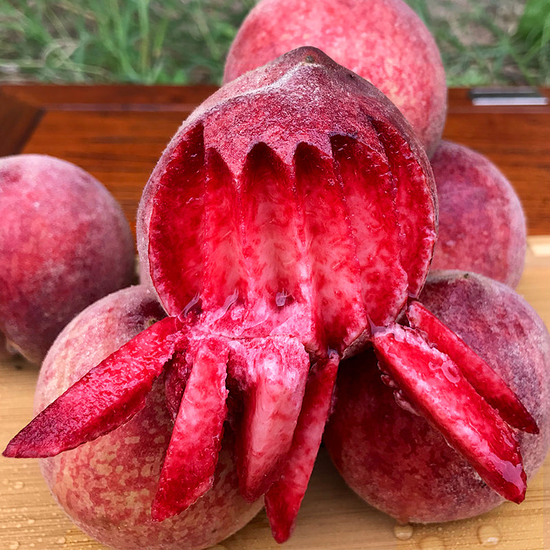 СЕМЕНА ЗА КЪРВАВА ПРАСКОВА (С ЧЕРВЕНО МЕСО)