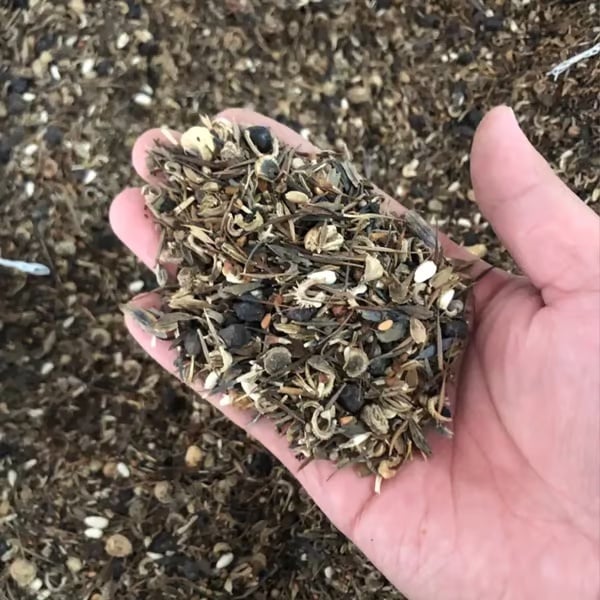 Смесени многогодишни цветя за всички сезони