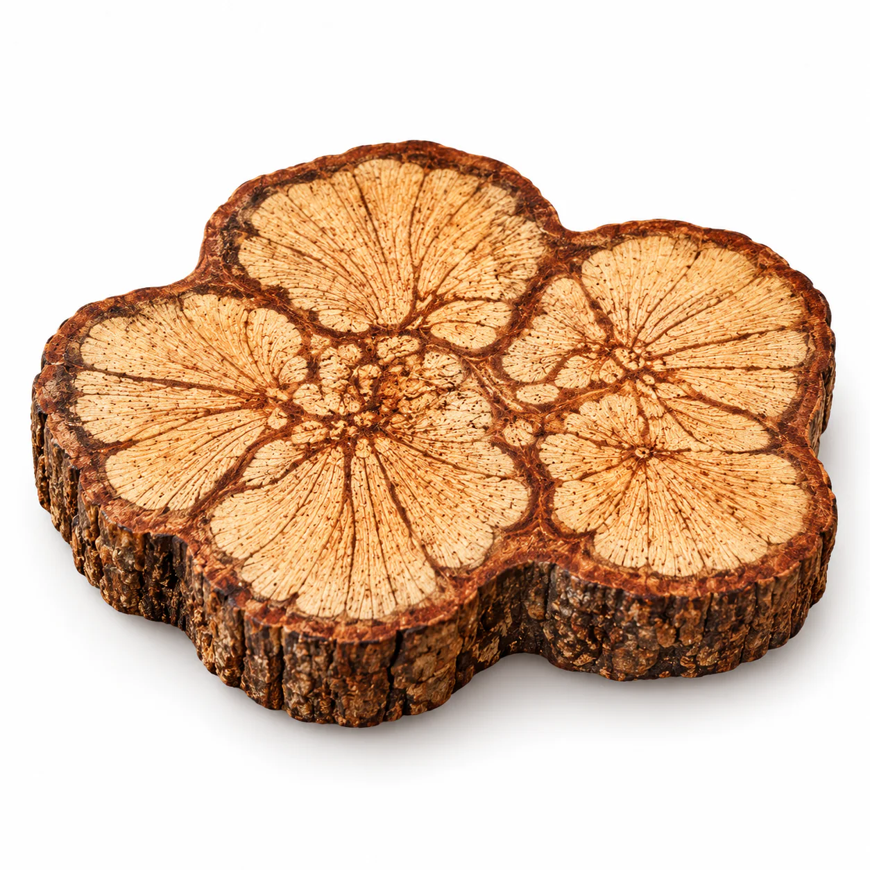 Natural Root Wood Teapot Mat on a clean warm-white background