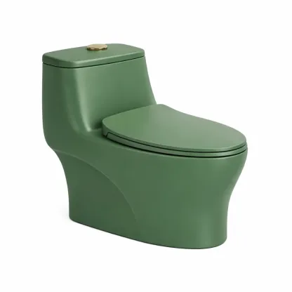 WC monobloc design vert fonce ceramique-furnikind