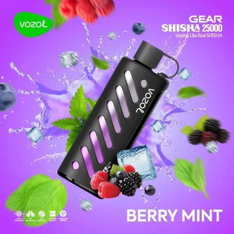 VOZOL GEAR SHISHA 25,000 - Berry Mint