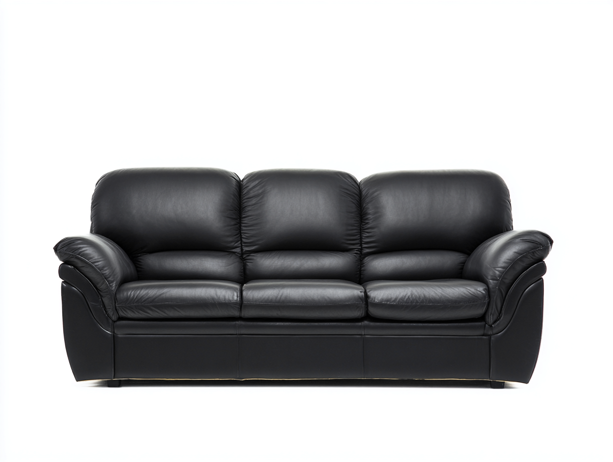 Canapé 3 places - cuir - 218x98x82 cm - noir - style contemporain-Loftgohome