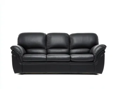 Canapé 3 places - cuir - 218x98x82 cm - noir - style contemporain-Loftgohome