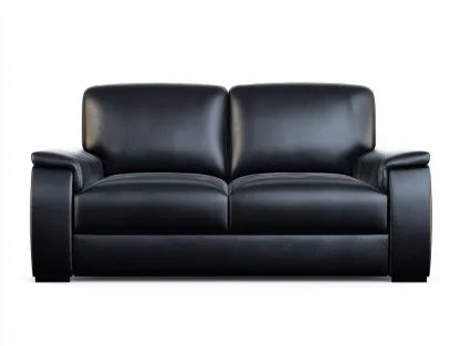 Canapé 3 places - cuir - 214x94x80 cm - noir - style moderne-Loftgohome