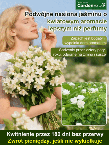 【Pachnidło Ogrodu】Nasiona jaśminu o intensywnym zapachu i pełnych kwiatach