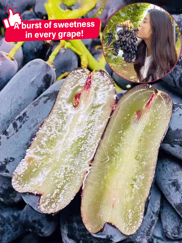 Семена от сладка сапфирена лоза