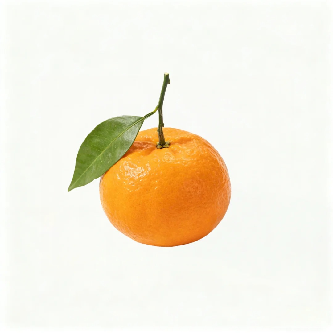 „Shatangju” kínai édes mandarin vetőmag