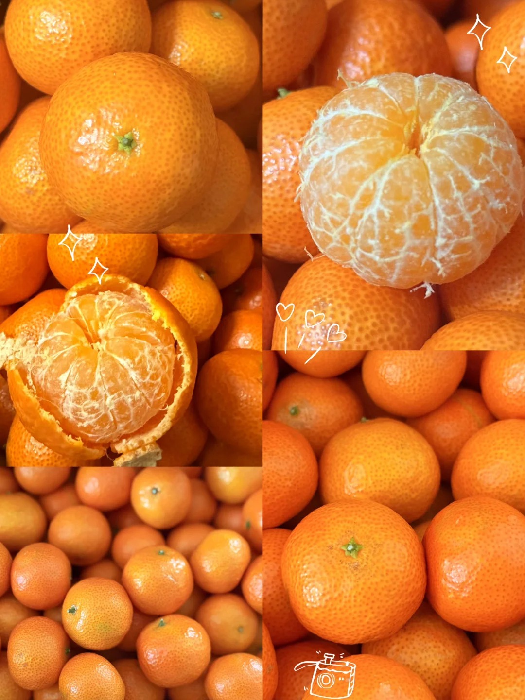 „Shatangju” kínai édes mandarin vetőmag