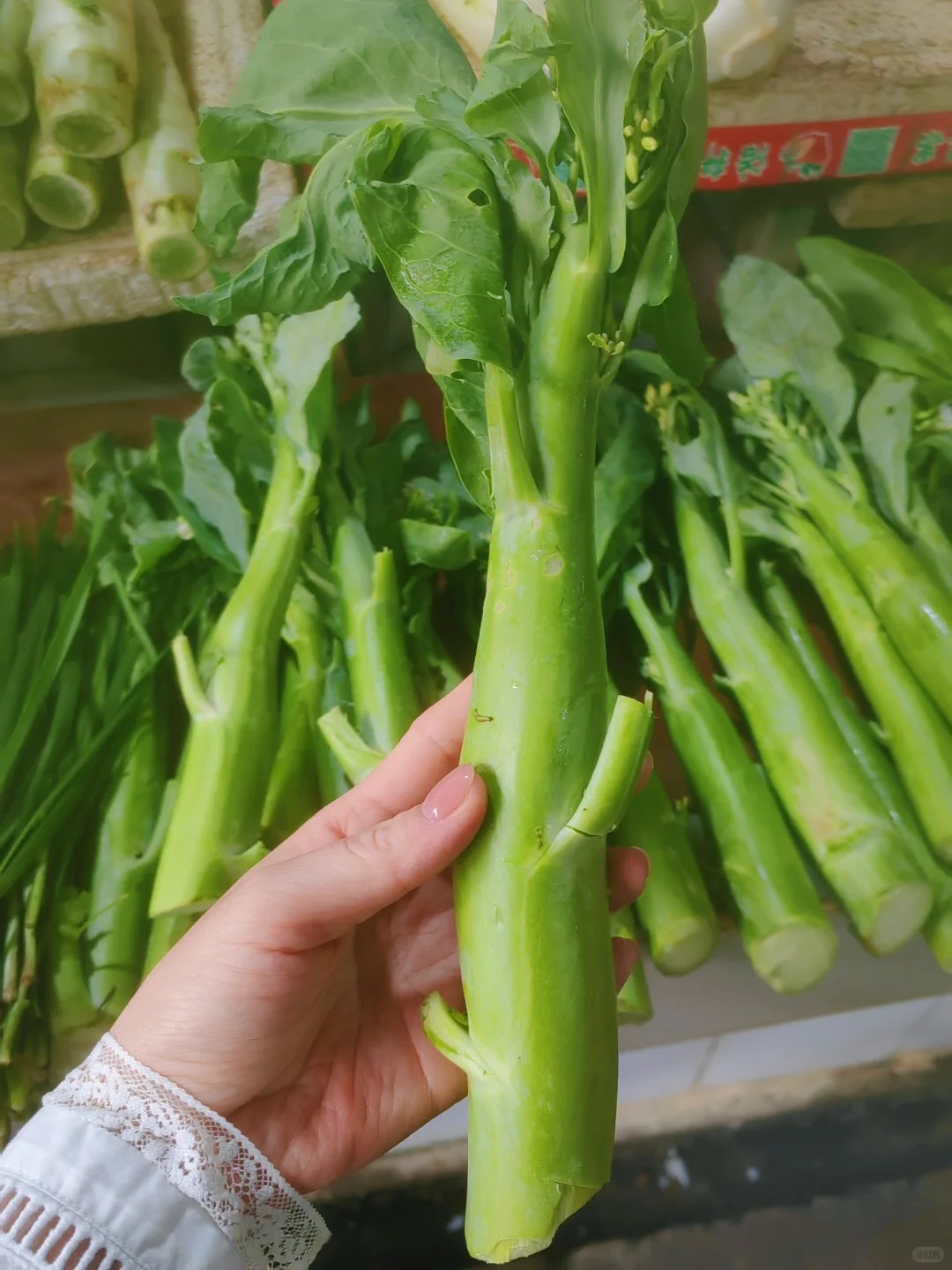 Kailan – kínai brokkoli vetőmag