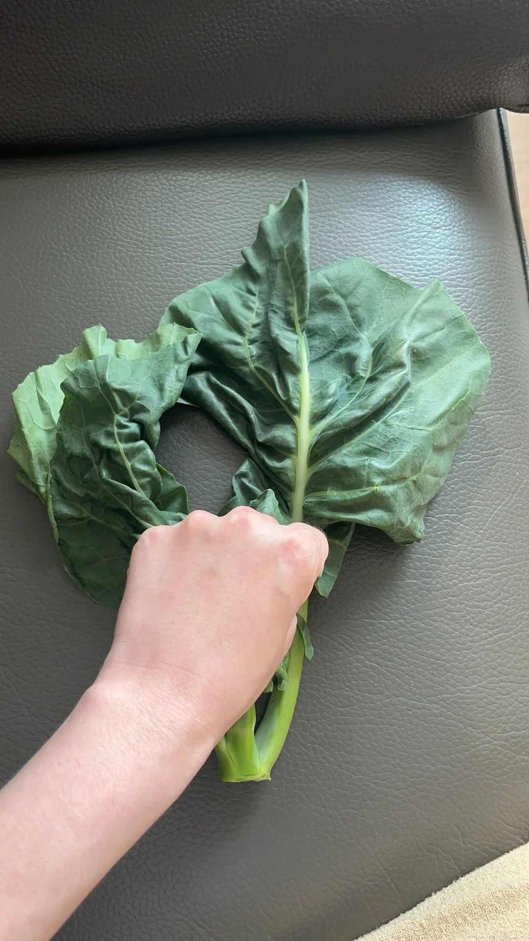 Kailan – kínai brokkoli vetőmag