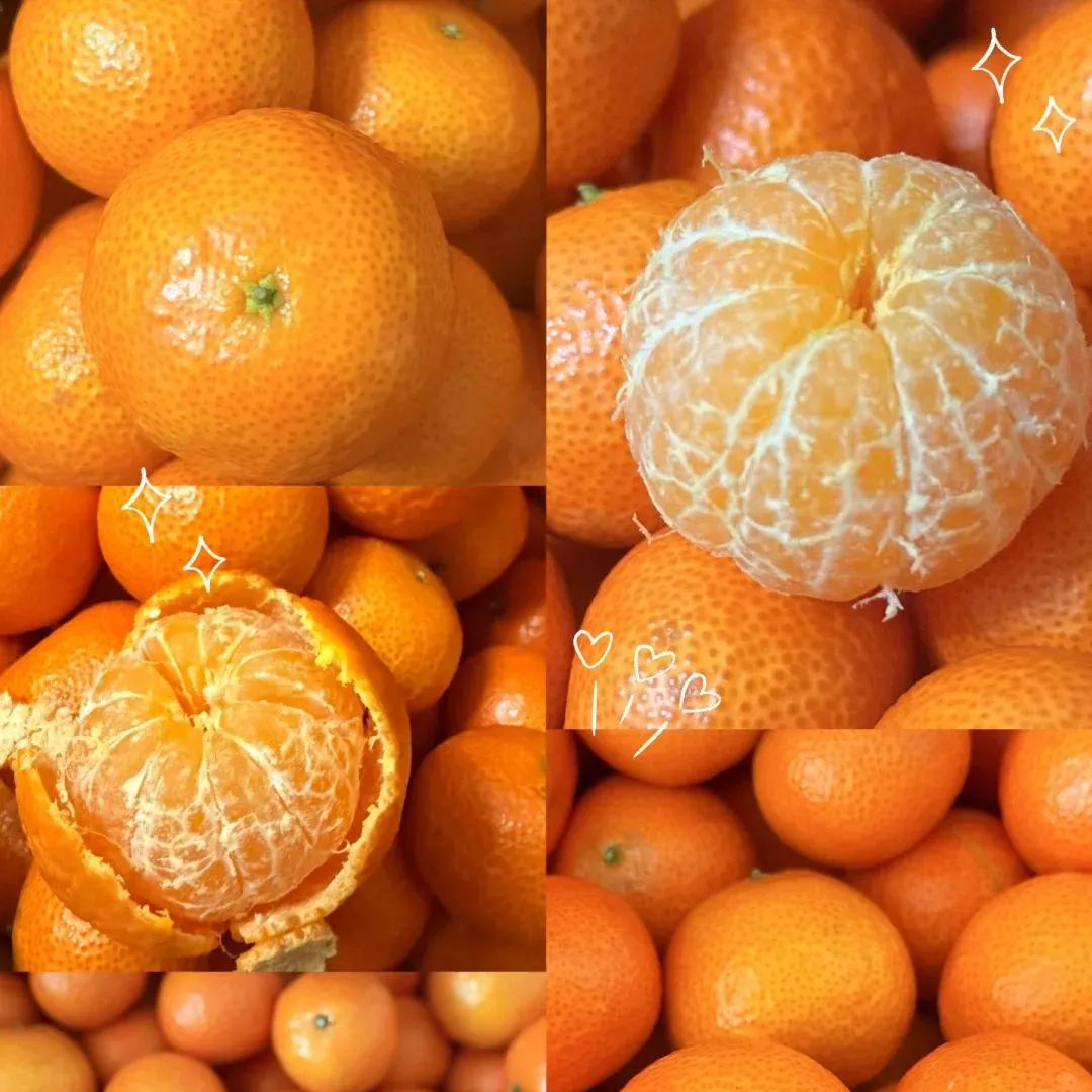 „Shatangju” kínai édes mandarin vetőmag