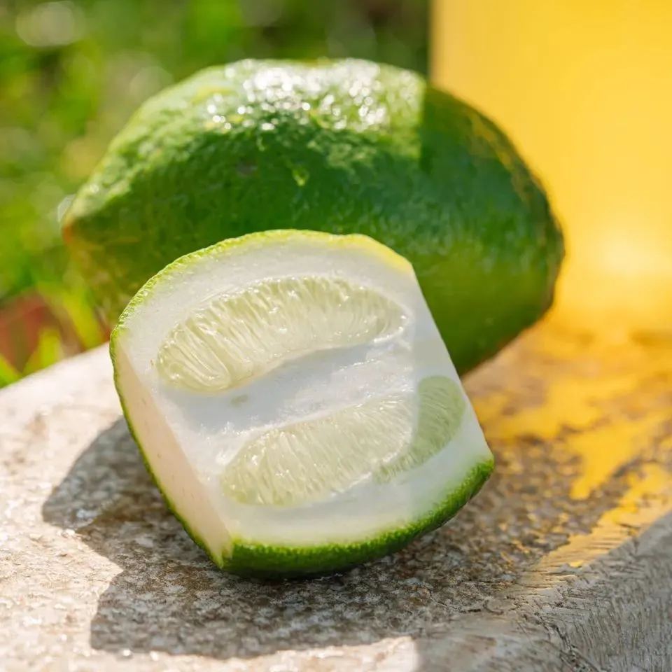 🍋Illatos citrom magok – friss, aromás citrom otthonra