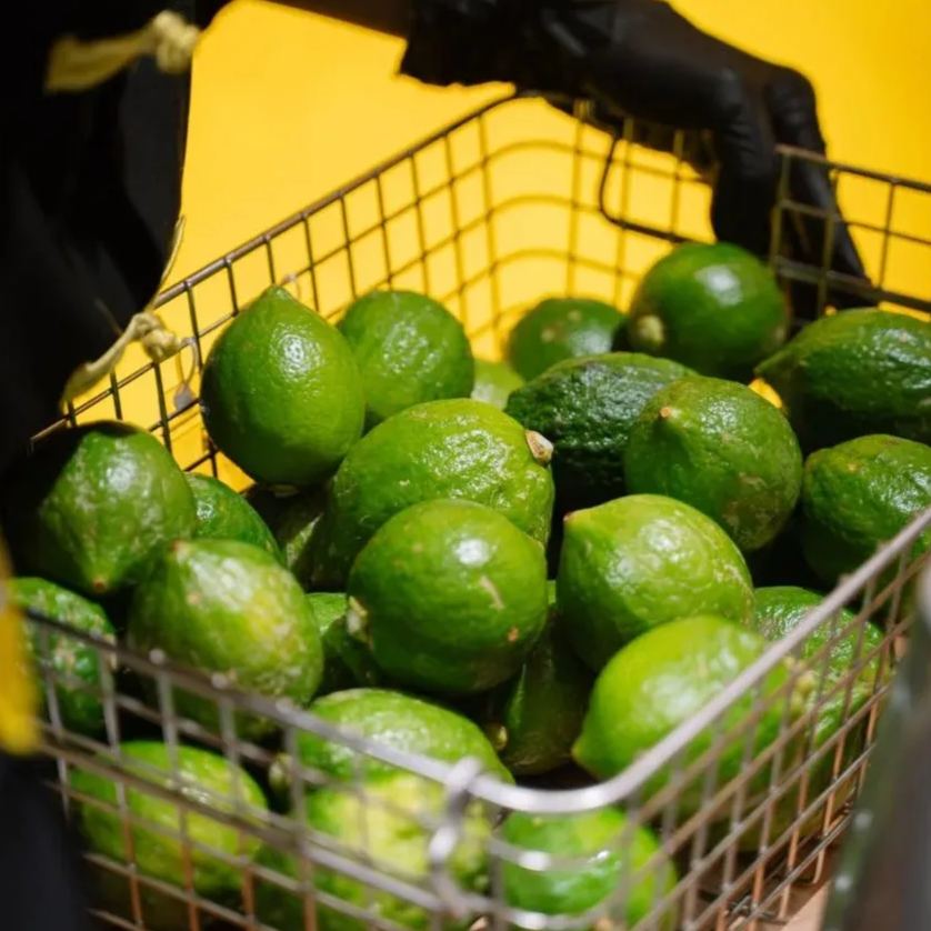 🍋Illatos citrom magok – friss, aromás citrom otthonra