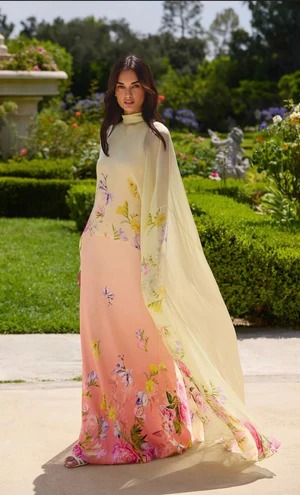 Floral Print Cape Two-Piece Maxi Dress Set