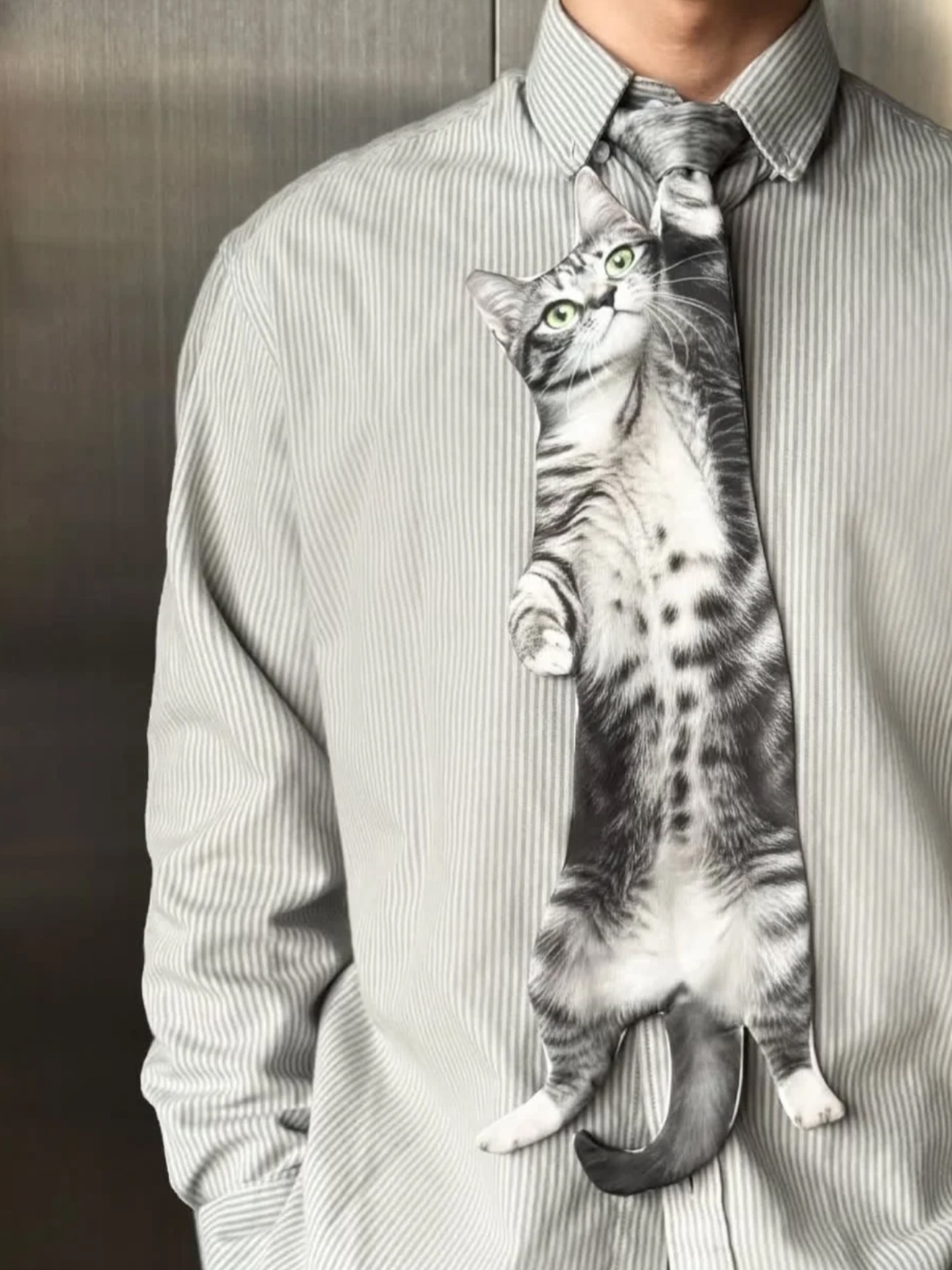 Cat-Inspired Necktie