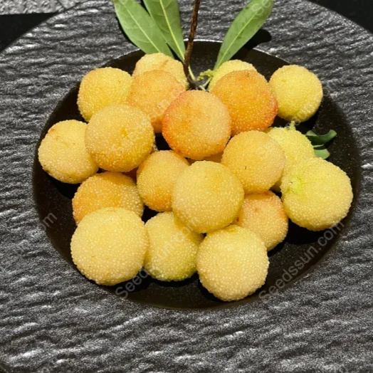 Crystal Bayberry Seeds-50%OFF