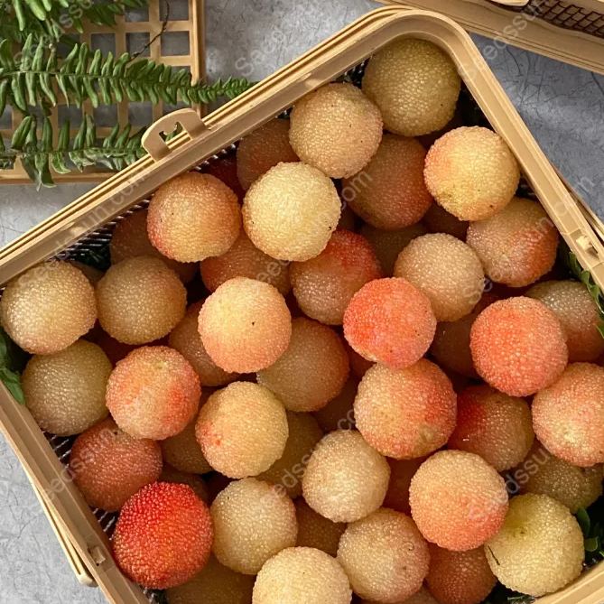 Crystal Bayberry Seeds-50%OFF