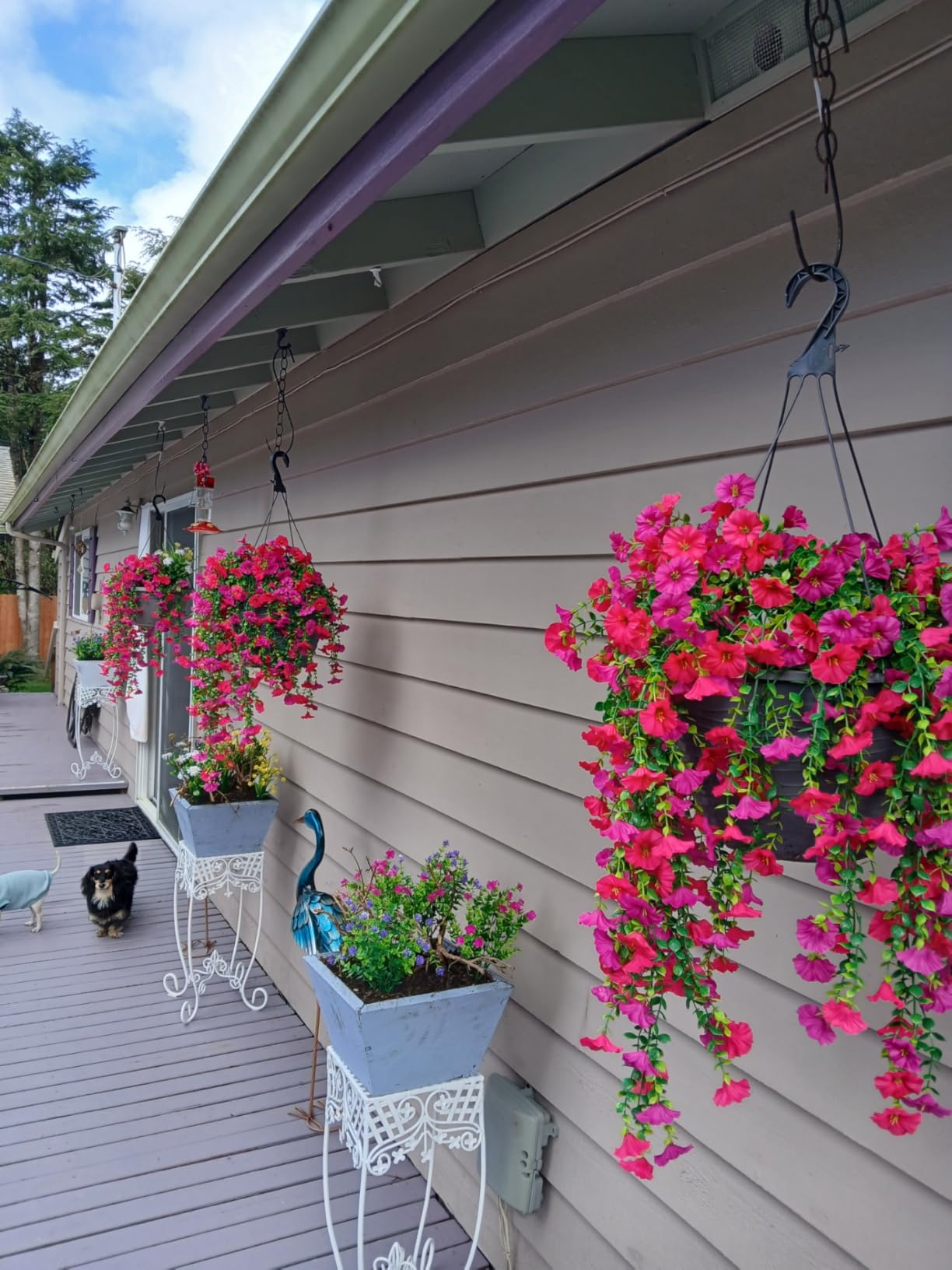 Pretty flowers, will need more, too expensive