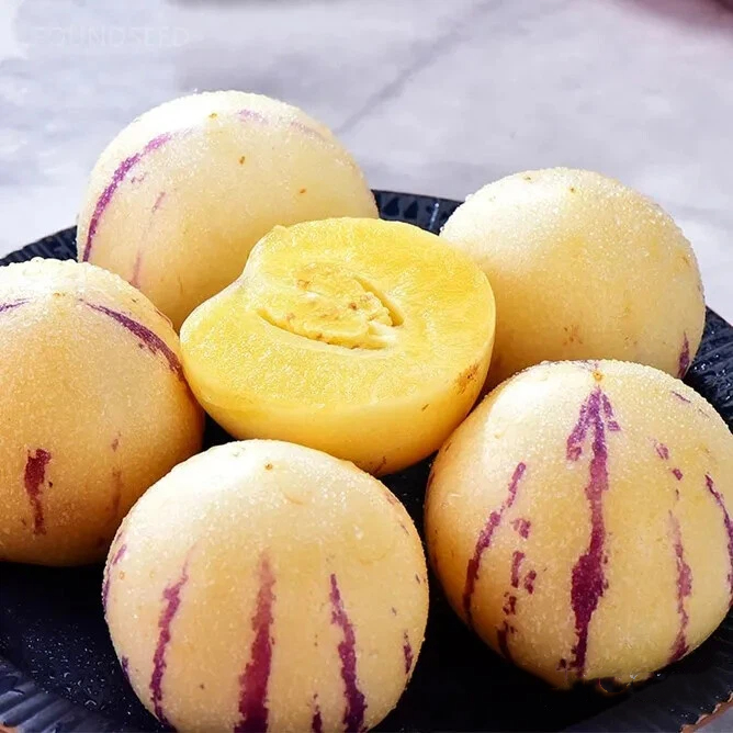 🔥 HORÚCI VÝPREDAJ 50% ZĽAVA 🔥🍐🍐 Semená Pepino (hruškový melón)