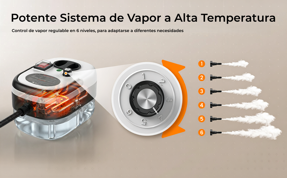 Limpiador de Vapor