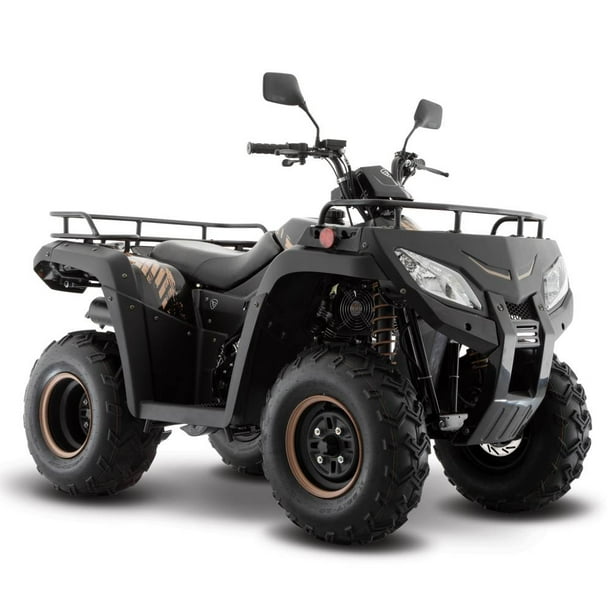 Cuatrimoto Italika ATV250 Negra 2025