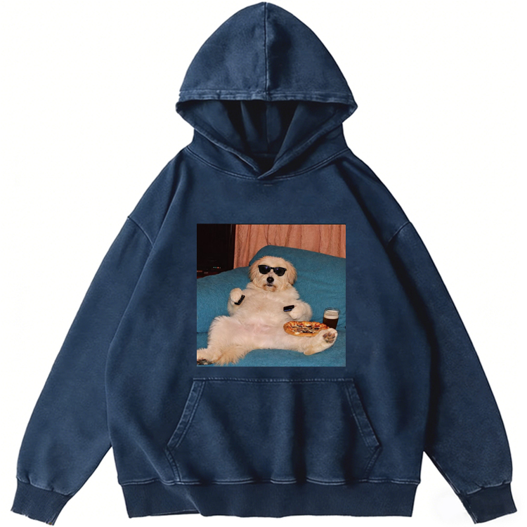 Chill Dog With Pizza Beer Remote Control Meme Retro Washed Hoodie