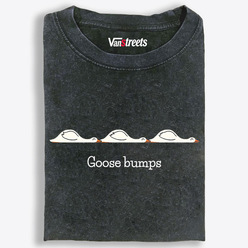 Goose Bumps Retro Washed T-Shirt | 100% Cotton | Streetwear Essential