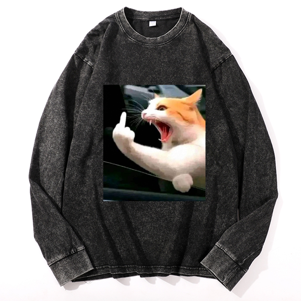 Middle Finger Cat Meme Retro Washed Long Sleeve T-Shirt