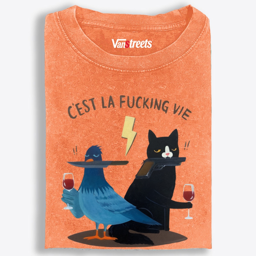 Elegant Fuck It Retro Washed T-Shirt | 100% Cotton | Streetwear Essential