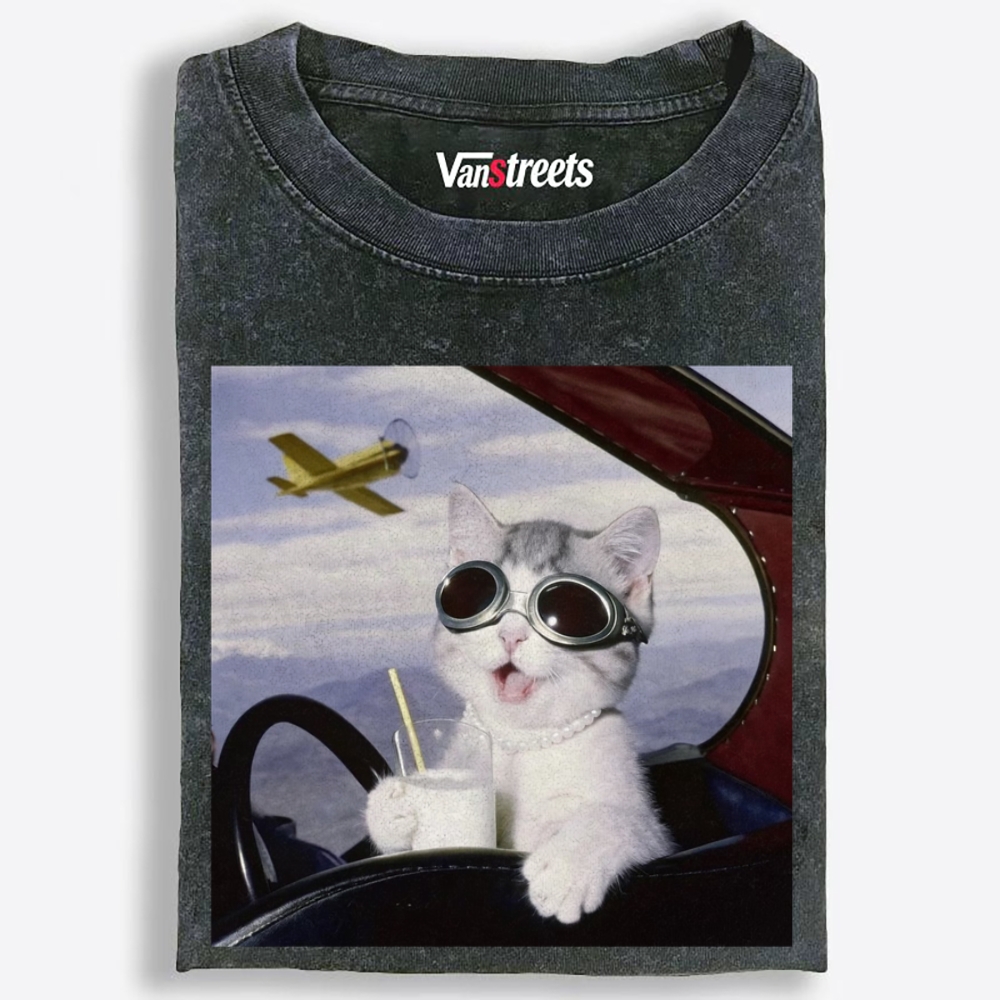 Aviator Cat Retro Washed T-Shirt | 100% Cotton | Streetwear Essential