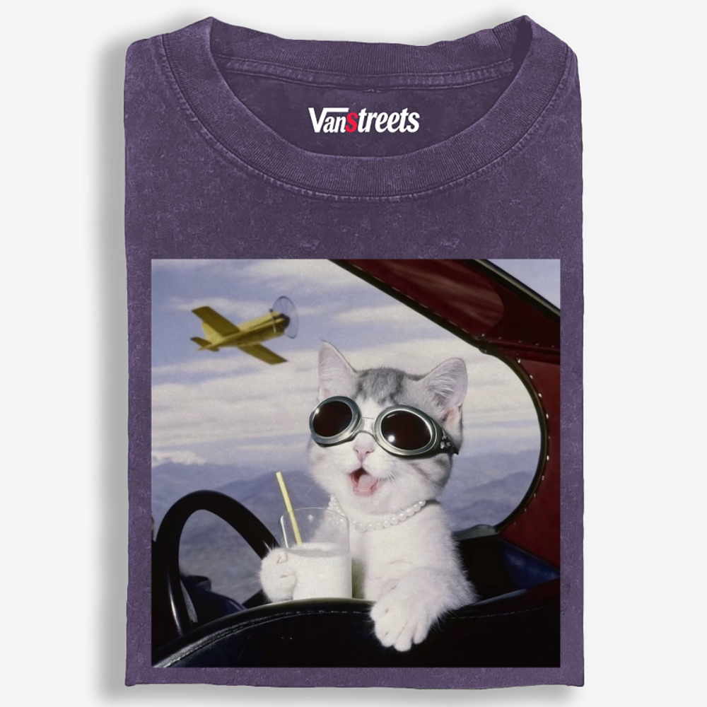 Aviator Cat Retro Washed T-Shirt | 100% Cotton | Streetwear Essential