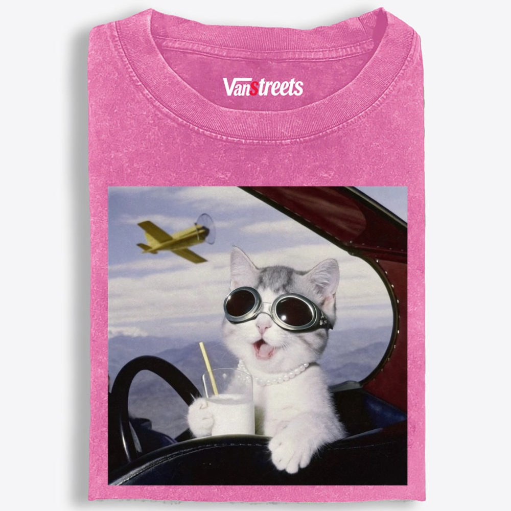 Aviator Cat Retro Washed T-Shirt | 100% Cotton | Streetwear Essential