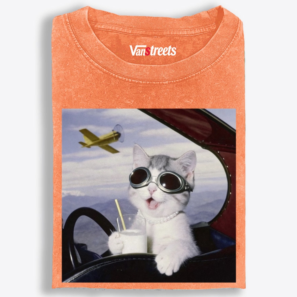 Aviator Cat Retro Washed T-Shirt | 100% Cotton | Streetwear Essential