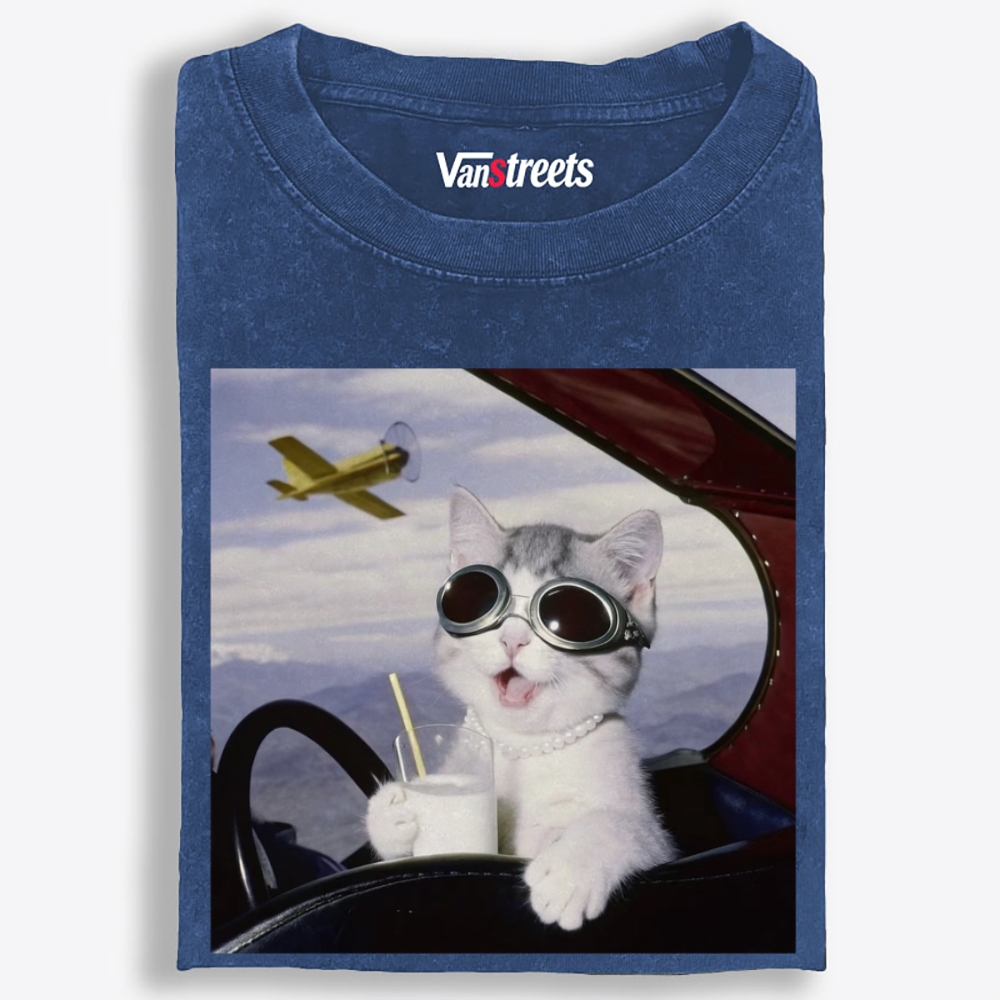 Aviator Cat Retro Washed T-Shirt | 100% Cotton | Streetwear Essential