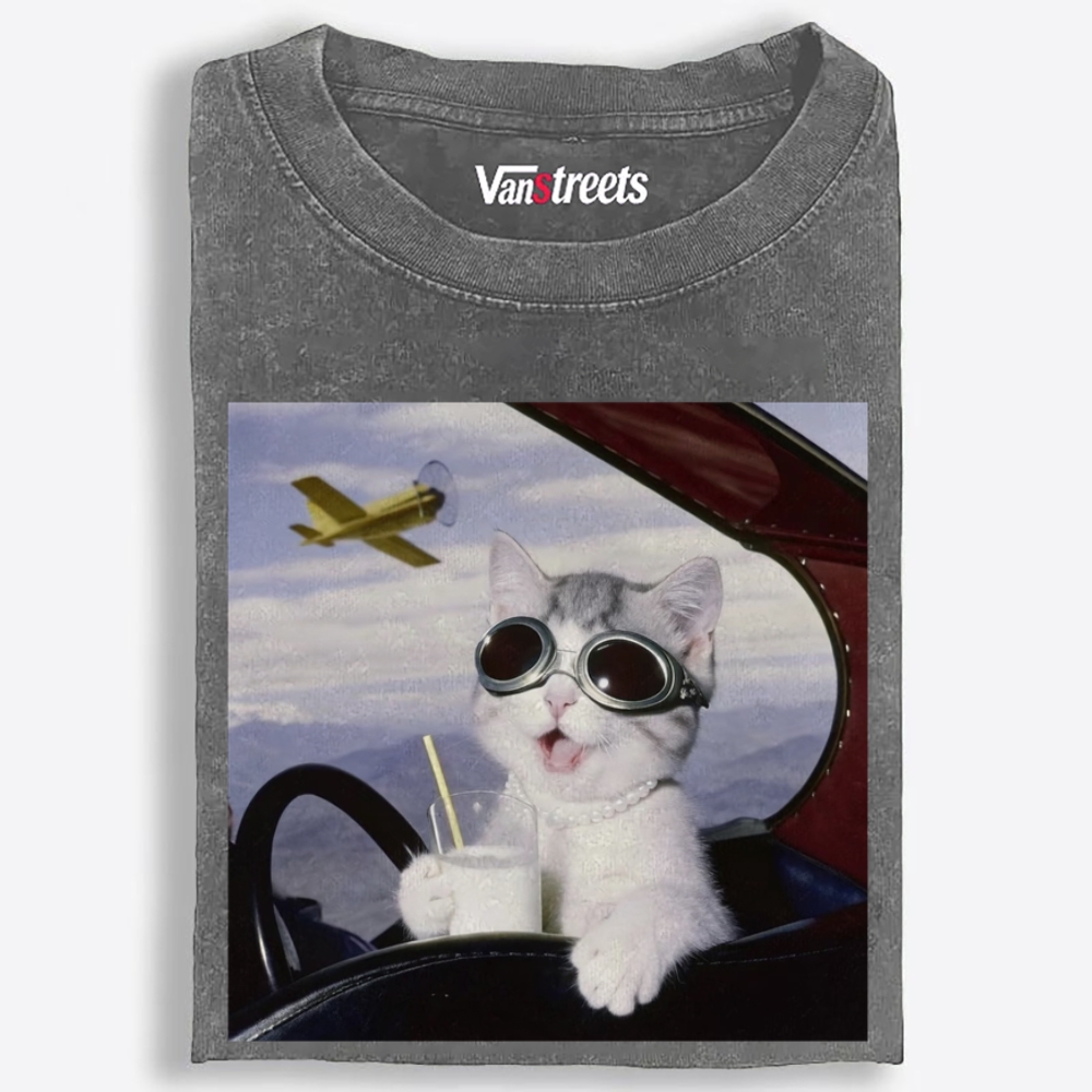 Aviator Cat Retro Washed T-Shirt | 100% Cotton | Streetwear Essential