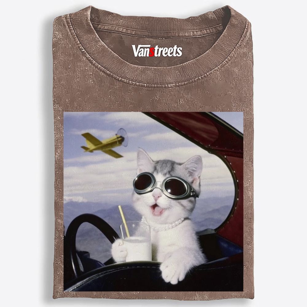 Aviator Cat Retro Washed T-Shirt | 100% Cotton | Streetwear Essential