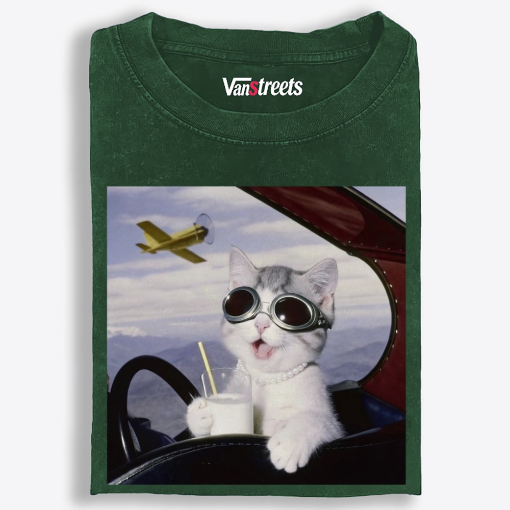Aviator Cat Retro Washed T-Shirt | 100% Cotton | Streetwear Essential