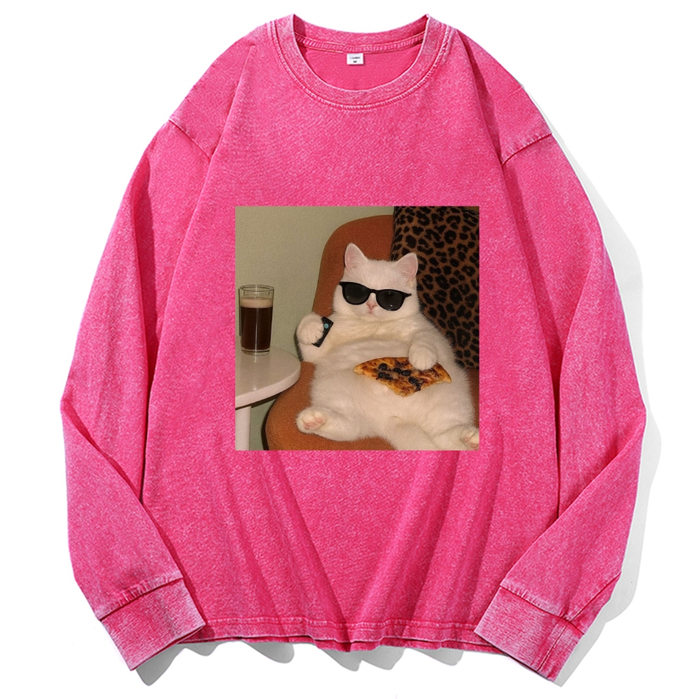 Lazy Cat Pizza & Beer Couch Potato Retro Washed Long Sleeve T-Shirt