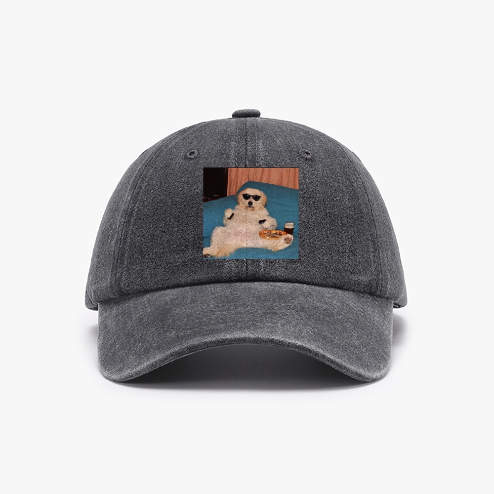 Chill Dog With Pizza Beer Remote Control Meme Retro Washed Baseball Cap