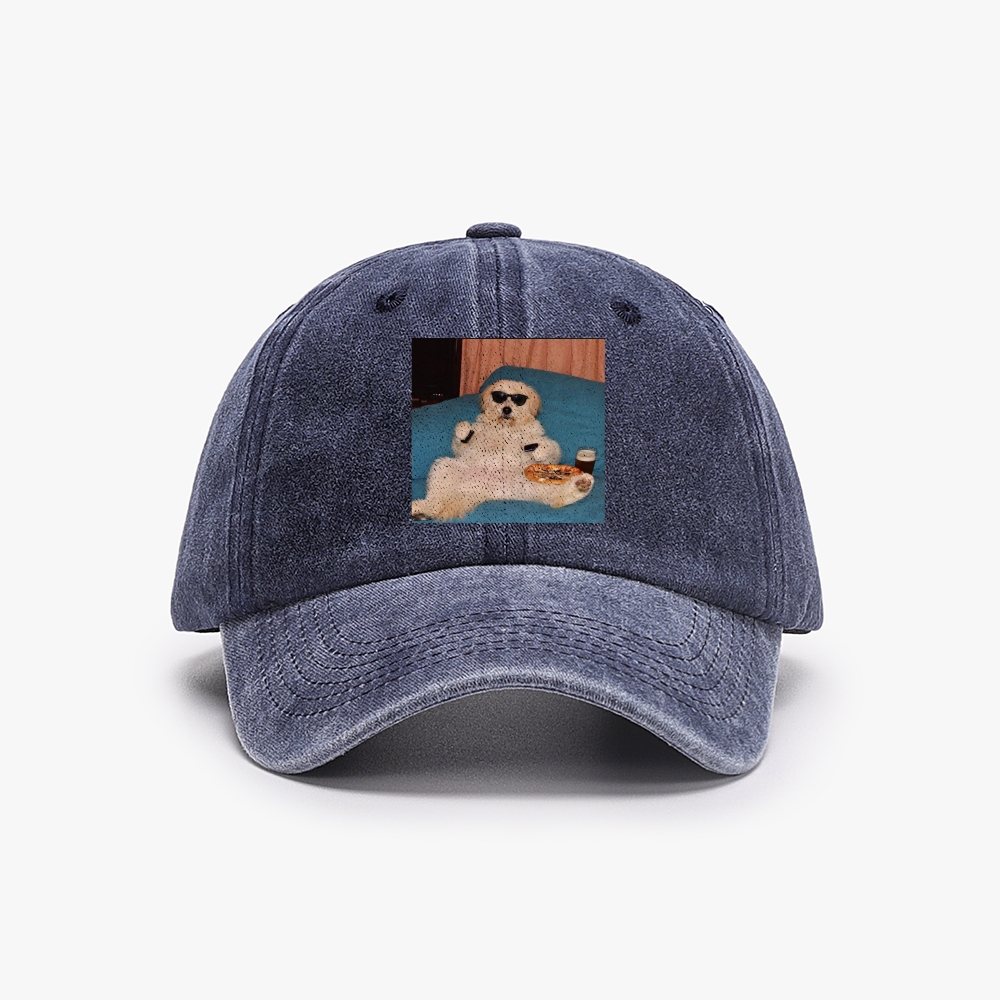 Chill Dog With Pizza Beer Remote Control Meme Retro Washed Baseball Cap