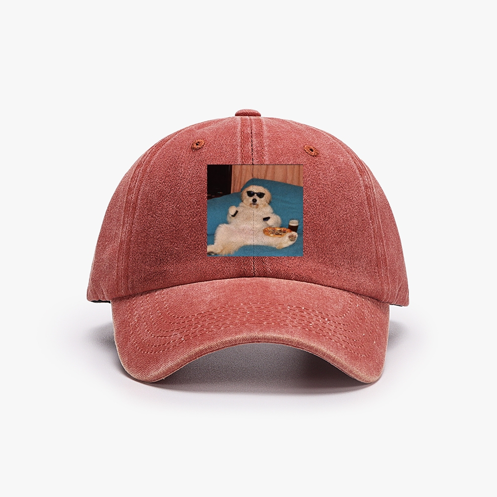 Chill Dog With Pizza Beer Remote Control Meme Retro Washed Baseball Cap