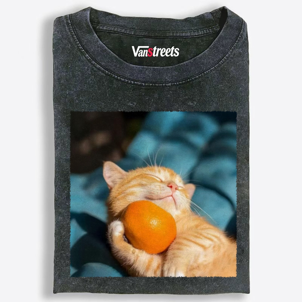 Orange Cat Hugs Orange Retro Washed T-Shirt | 100% Cotton | Streetwear Essential