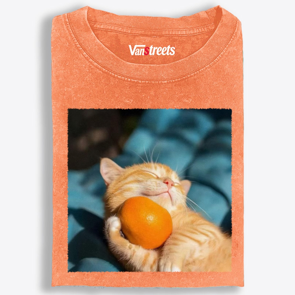Orange Cat Hugs Orange Retro Washed T-Shirt | 100% Cotton | Streetwear Essential