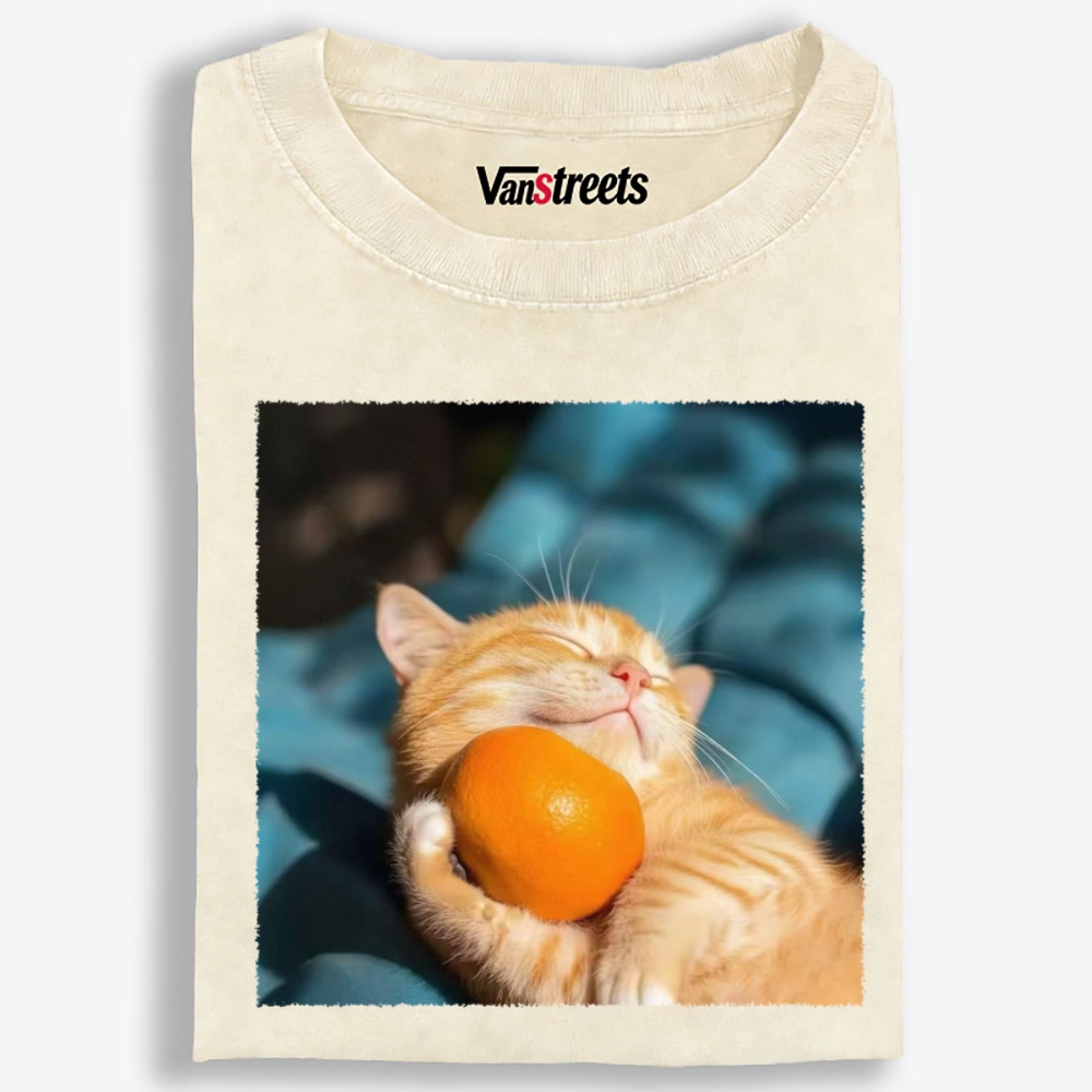 Orange Cat Hugs Orange Retro Washed T-Shirt | 100% Cotton | Streetwear Essential