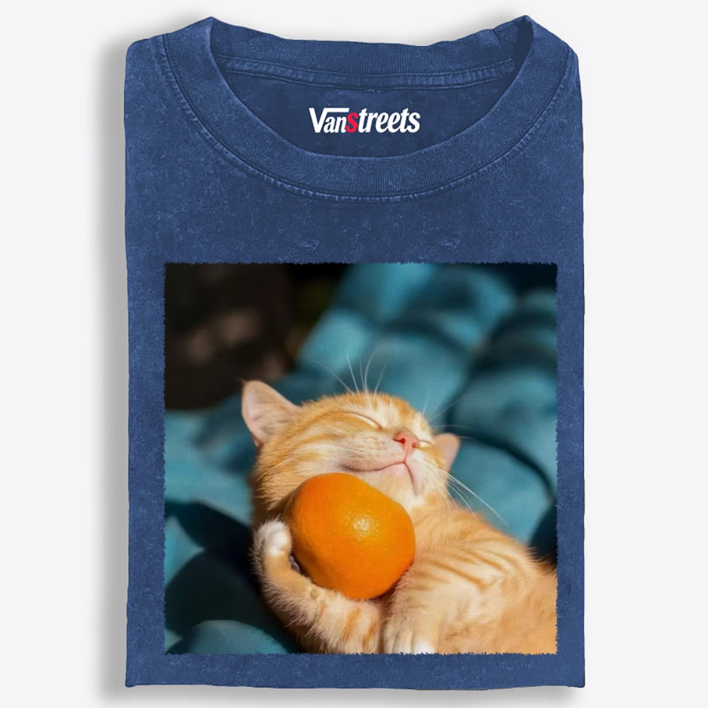 Orange Cat Hugs Orange Retro Washed T-Shirt | 100% Cotton | Streetwear Essential