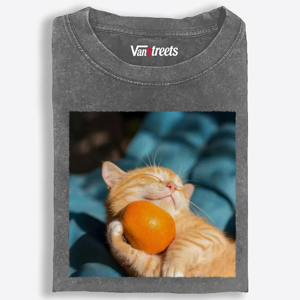 Orange Cat Hugs Orange Retro Washed T-Shirt | 100% Cotton | Streetwear Essential
