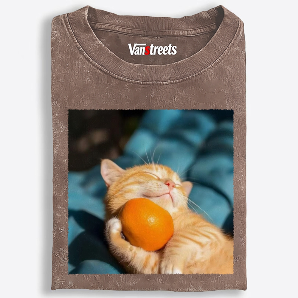 Orange Cat Hugs Orange Retro Washed T-Shirt | 100% Cotton | Streetwear Essential