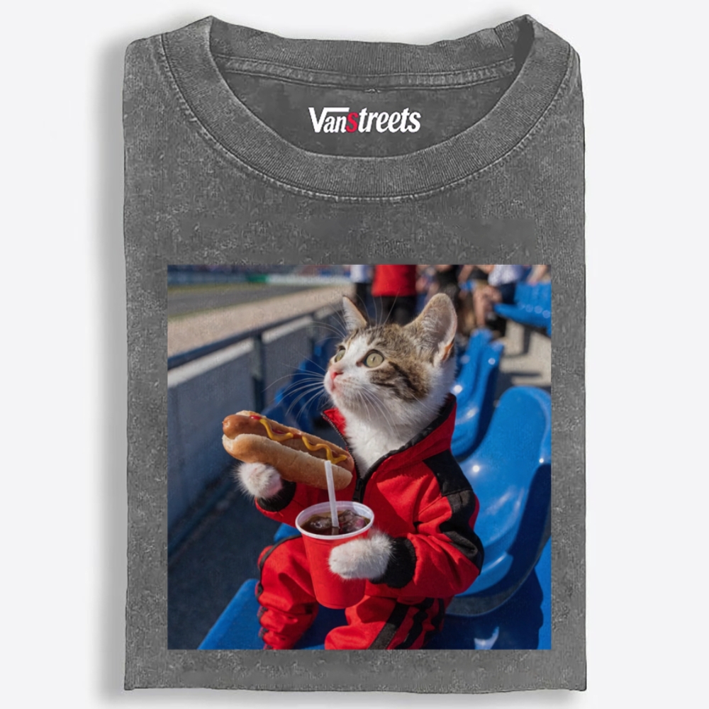Hot Dog Stadium Cat Retro Washed T-Shirt | 100% Cotton | Streetwear Essential