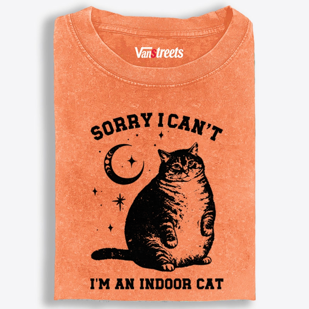 Chonky Indoor Cat Retro Washed T-Shirt | 100% Cotton | Streetwear Essential