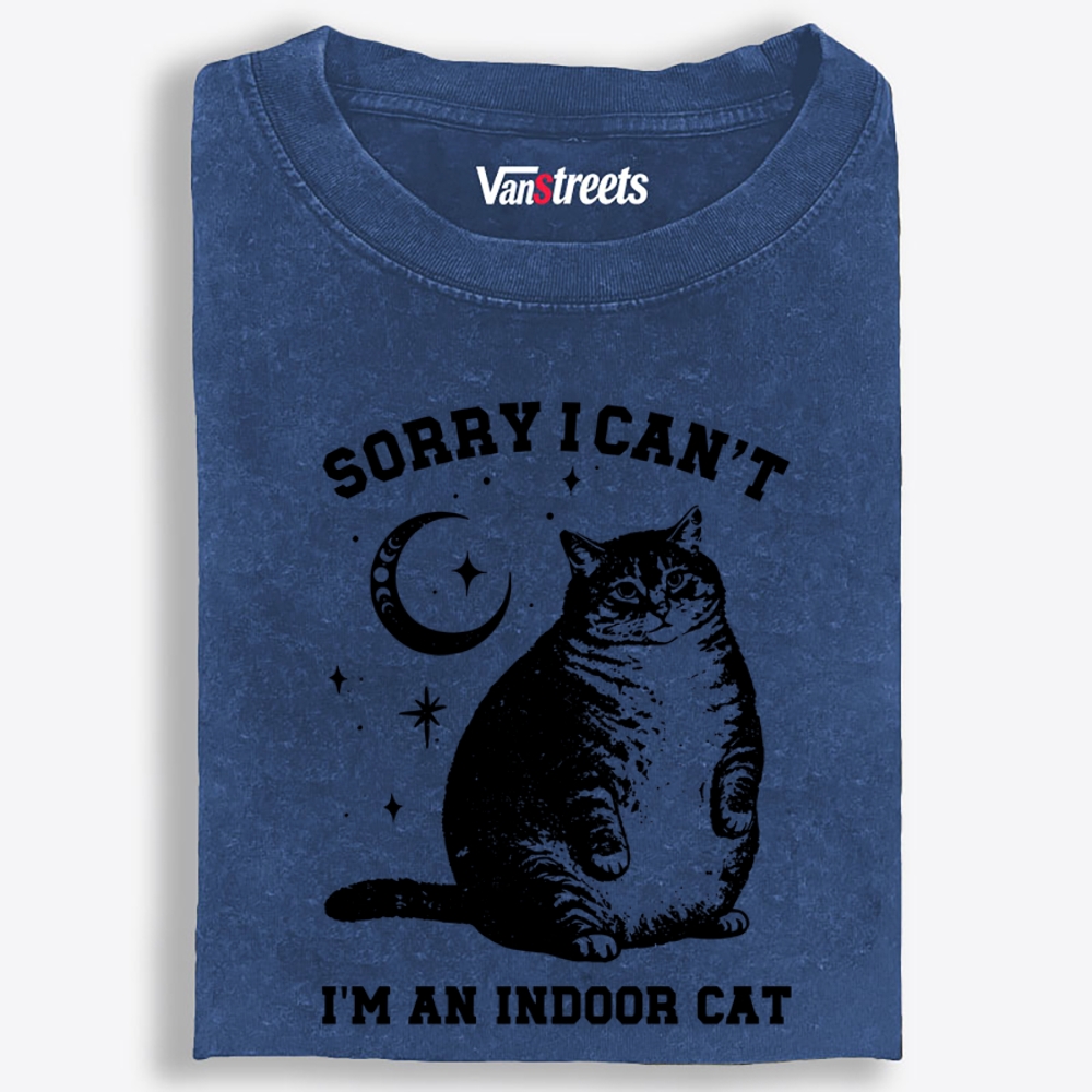 Chonky Indoor Cat Retro Washed T-Shirt | 100% Cotton | Streetwear Essential